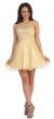 Bejeweled Bust Short Babydoll Homecoming Party Dress in Champaign